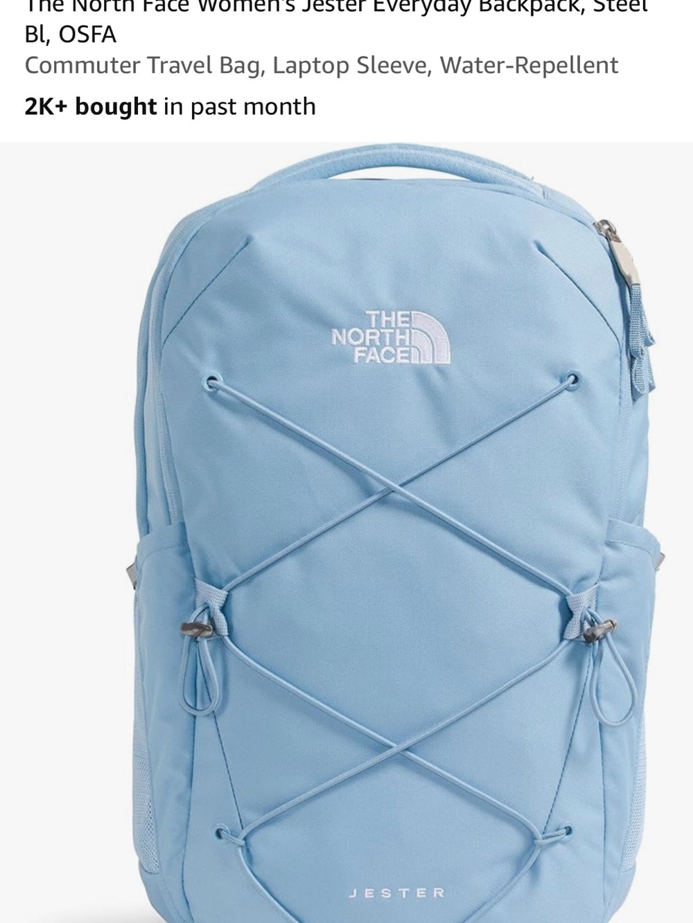 The North Face Women's Jester Everyday Backpack, Steel Blue